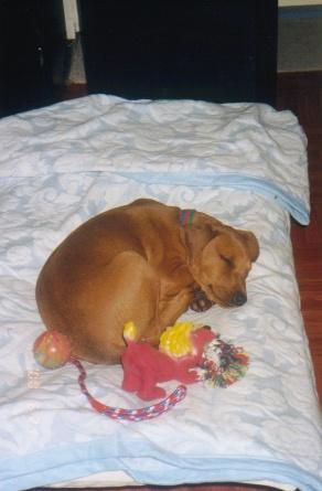 [Bones Sleeping]